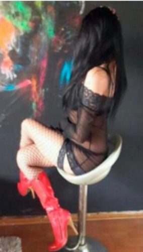 Seksapel eve gelen escort Dünya